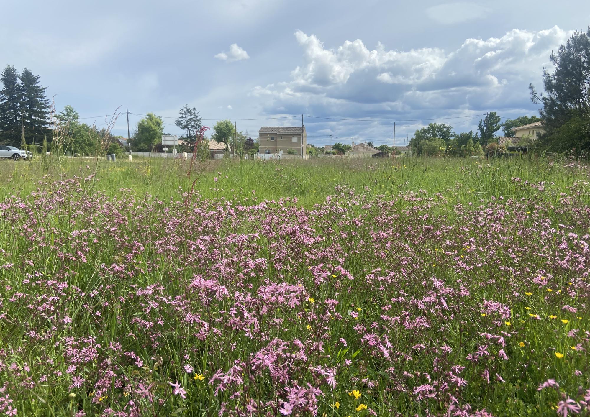Prix immobilier Bordeaux construire sa maison au meilleur prix au calme et en ville.