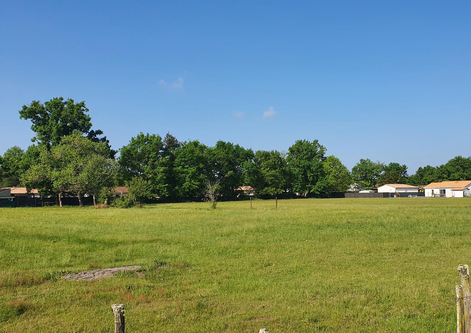 terrain à vendre terrain viabilisé libre de constructeur lotissement meilleur prix terrain exceptionnel calme saint magne hostens terrain à bâtir beau terrain plat lotisseur aménageur commune