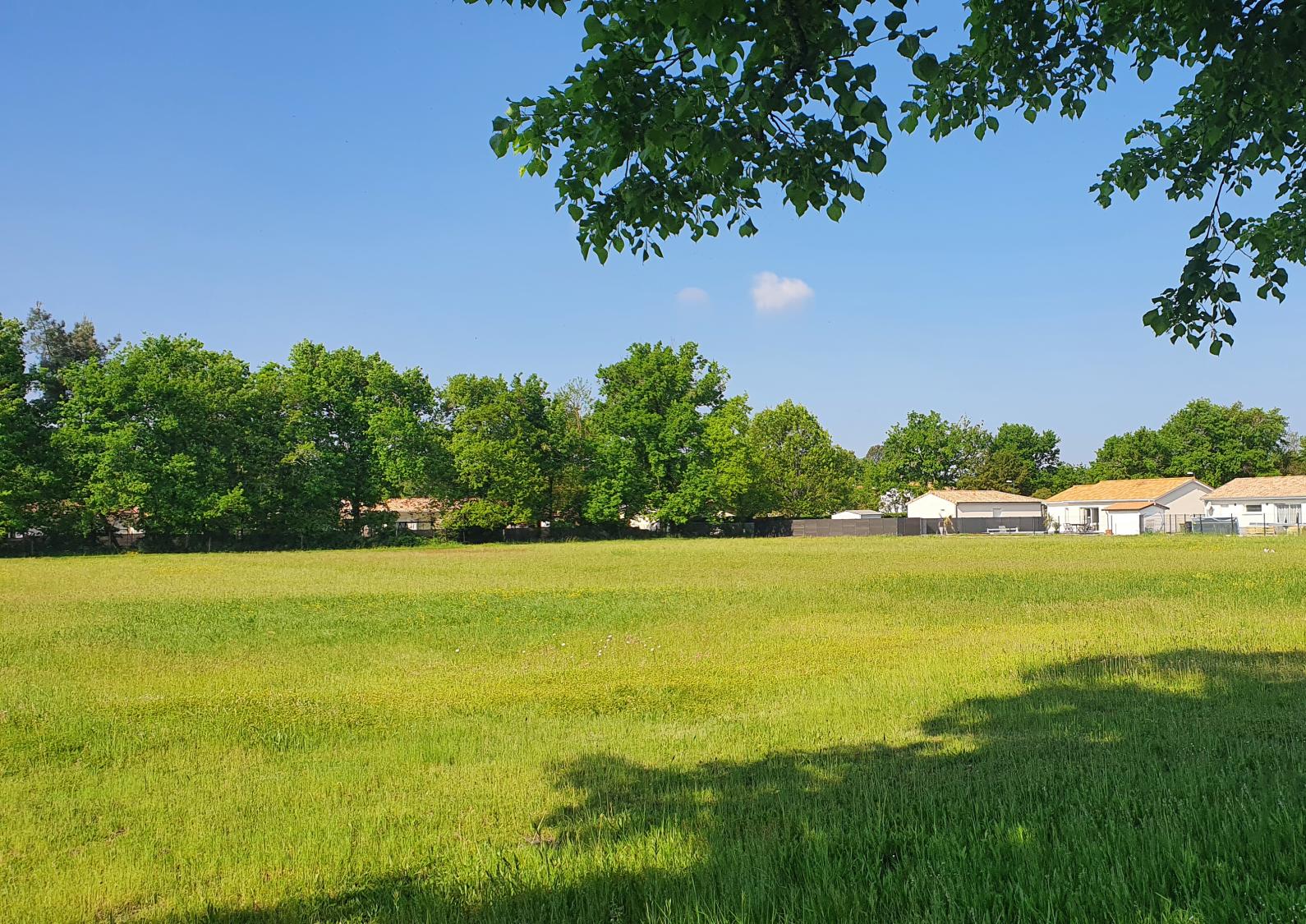 terrain à vendre terrain viabilisé libre de constructeur lotissement meilleur prix terrain exceptionnel calme saint magne hostens terrain à bâtir beau terrain plat lotisseur aménageur commune