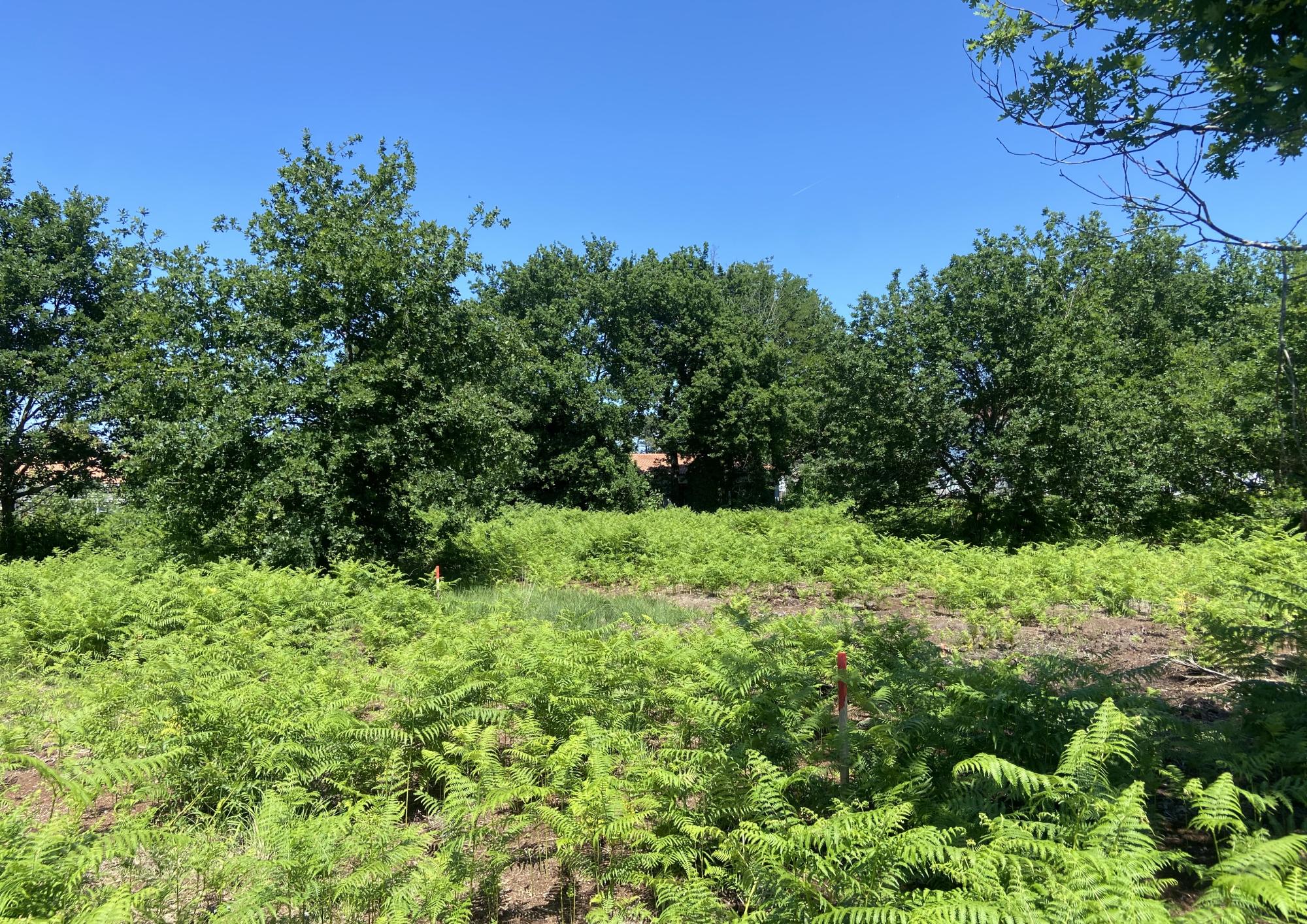 construire sa maison à Gaste en pleine nature et à proximité du lac