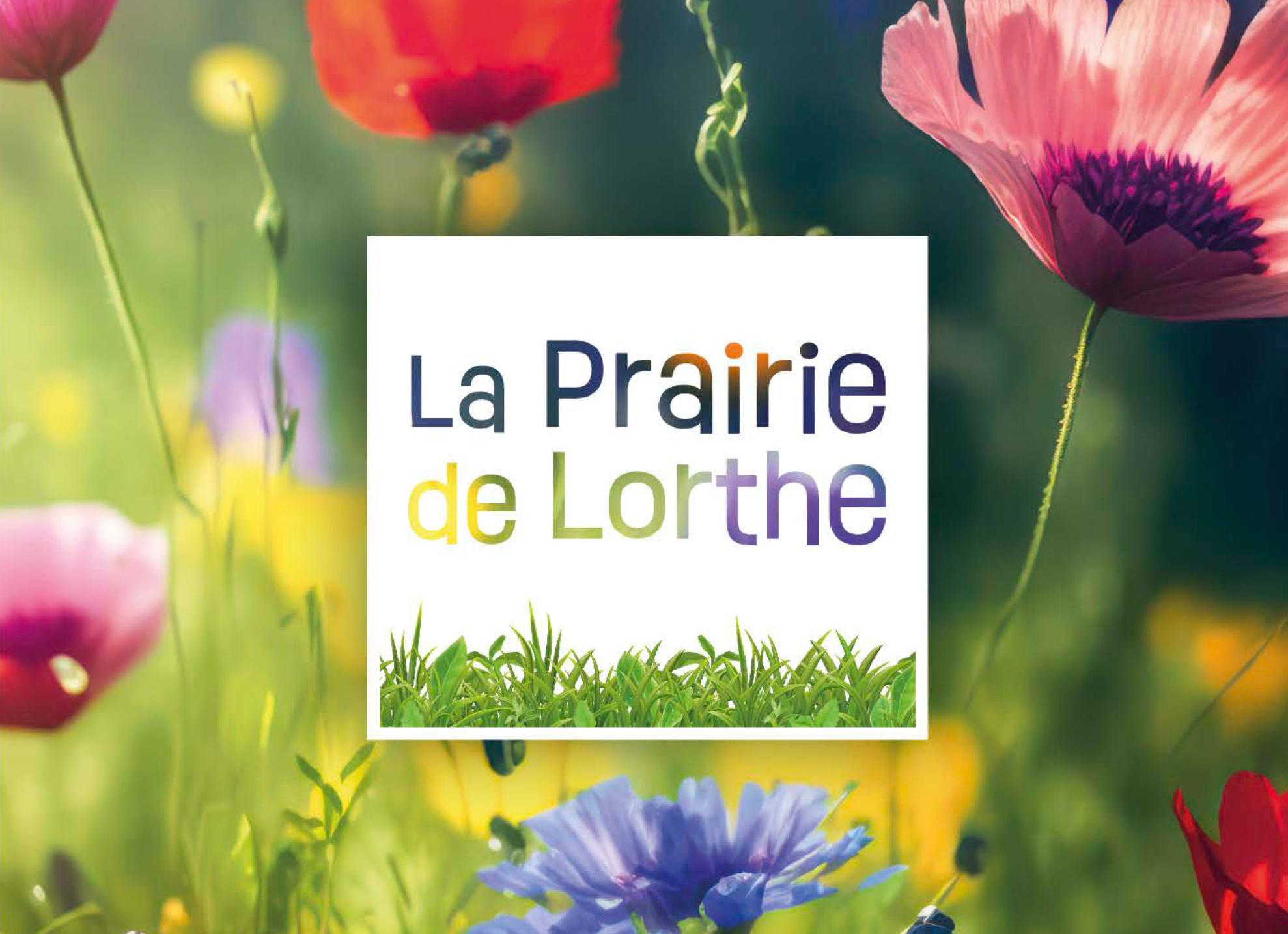 Terrain a vendre saint laurent medoc